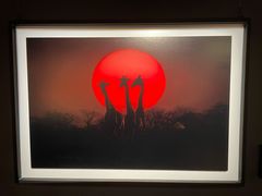 -罗红摄影艺术馆