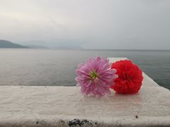 -南诏风情岛