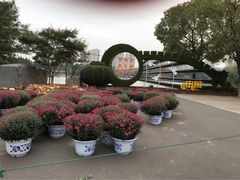 -全季酒店（苏州观前街平江路店）(原临顿路地铁站店)