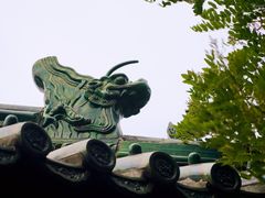 -隆兴寺
