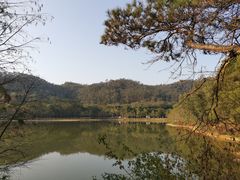 -东莞市虎英郊野公园