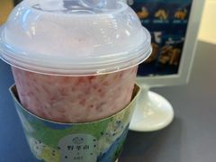 -野萃山·潮汕厚果汁(十亩地店)