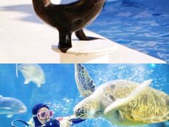 -左海海底世界