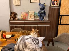 -咖法森林·咖啡  酒吧(天河店)