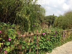 iphone_upload_pic-贵阳市花溪国家城市湿地公园