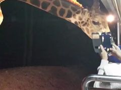 -清迈夜间动物园