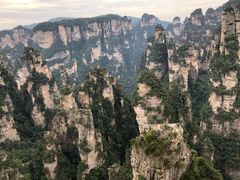 -猪脑壳凉面(武陵源店)