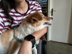-zarah(鼓楼店)
