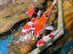 -太平洋海底世界