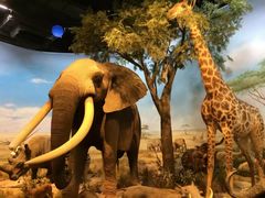 -陕西自然博物馆