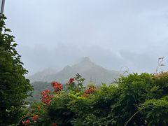 -山里人家