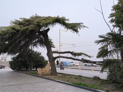 -武汉长江大桥