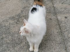 -弘阳·未来世界(弘阳广场店)
