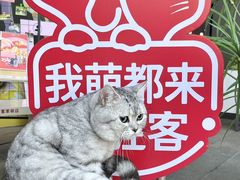 -必胜客(江东万达店)