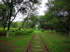 -永定河休闲森林公园
