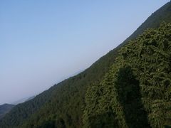 -铁山坪森林公园