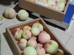 -老袁家蜜桃农场·阳山水蜜桃