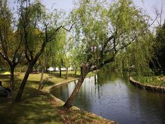 -上海滨江森林公园