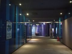 -万达影城(长沙婚庆公园中国巨幕店)
