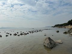 -深圳湾公园(南山区)