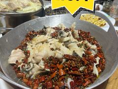 -8号蒸饺精品炖鸽子(康特商街店)