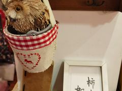 -荏苒