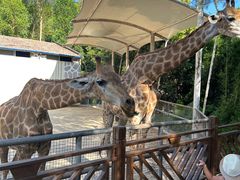 -泉州海丝野生动物世界