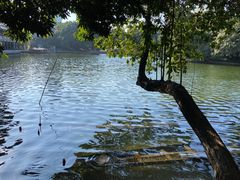 -荔湾湖公园