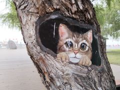 -洪泽湖古堰景区