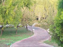 -石家庄市植物园