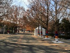 -朝阳公园游乐园