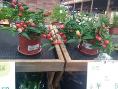 -果蔬好生活超市(乐堤港店)