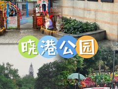 -晓港公园