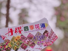 -丹樱生态园