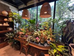 -自由生长植物工作室(深港花卉中心店)