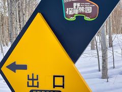 -黑瞎子岛探秘野熊园