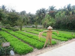 稻草人农庄-三亚亚龙湾红树林度假酒店