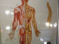 -洪盛堂(净居寺南街店)