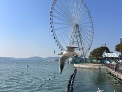 -无锡蠡湖国家湿地公园-蠡园