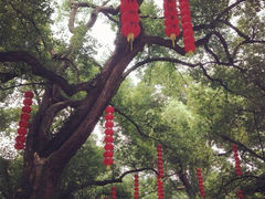 iphone_upload_pic-杭州上天竺法喜讲寺