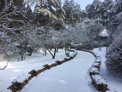 -庐山风景区花径公园