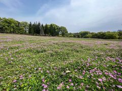 -福建鲤鱼洲酒店