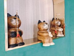 -飞行喵MR PILOT|猫舍·猫咖(静安大融城店)