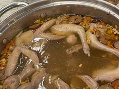 -百利鸽王(紫薇路店)