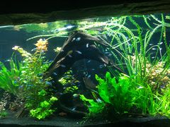 -上海海洋水族馆