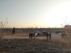 -兴芮温泉度假区