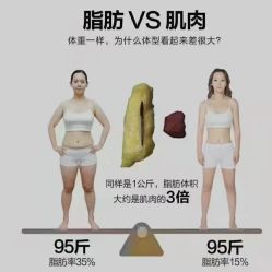 -Fundi张玉珊修身堂·indiba·BTL科技瘦身