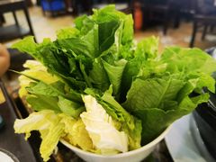 -鸽鸟轩(石岐店)