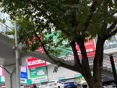 -菜园坝水果市场