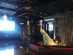 -尚橙歌坊主题式KTV(恒大商业广场店)